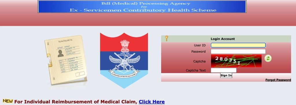 Understanding the Role of a Bill Processing Agency in ECHS